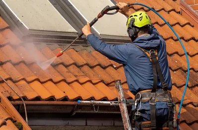 Démoussage et hydrofuge de toiture à Guizerix